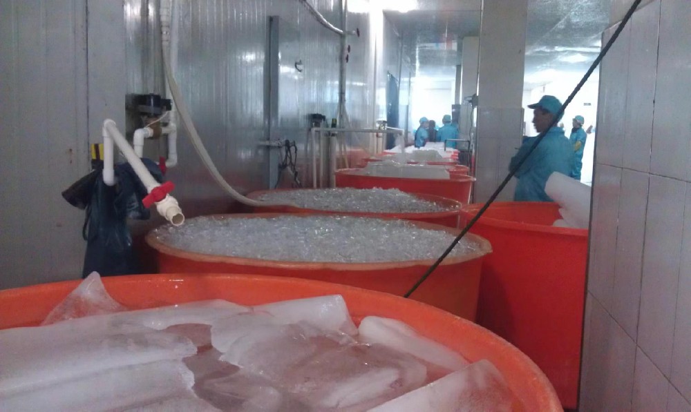 Guangdong Zhanshui aquatic products processing enterprise, seafood preservation with a daily output of 10 tons of tube ice machine commissioning completed.