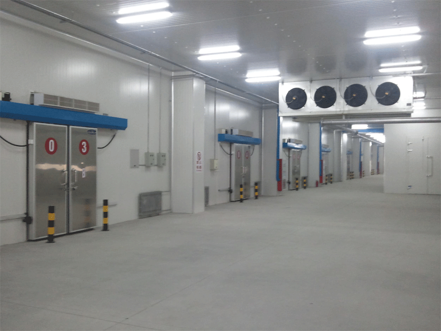 Iceups Cold Room Installed for Customer's Various Application